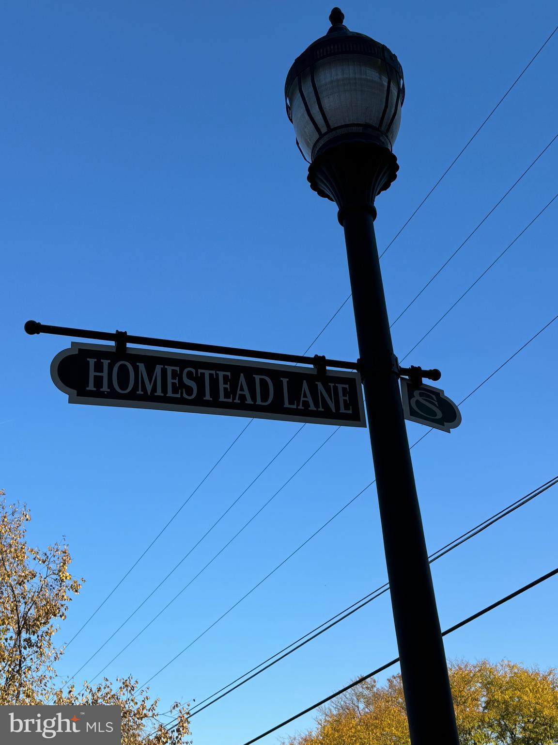 SPRINGFIELD COMMONS - Residential