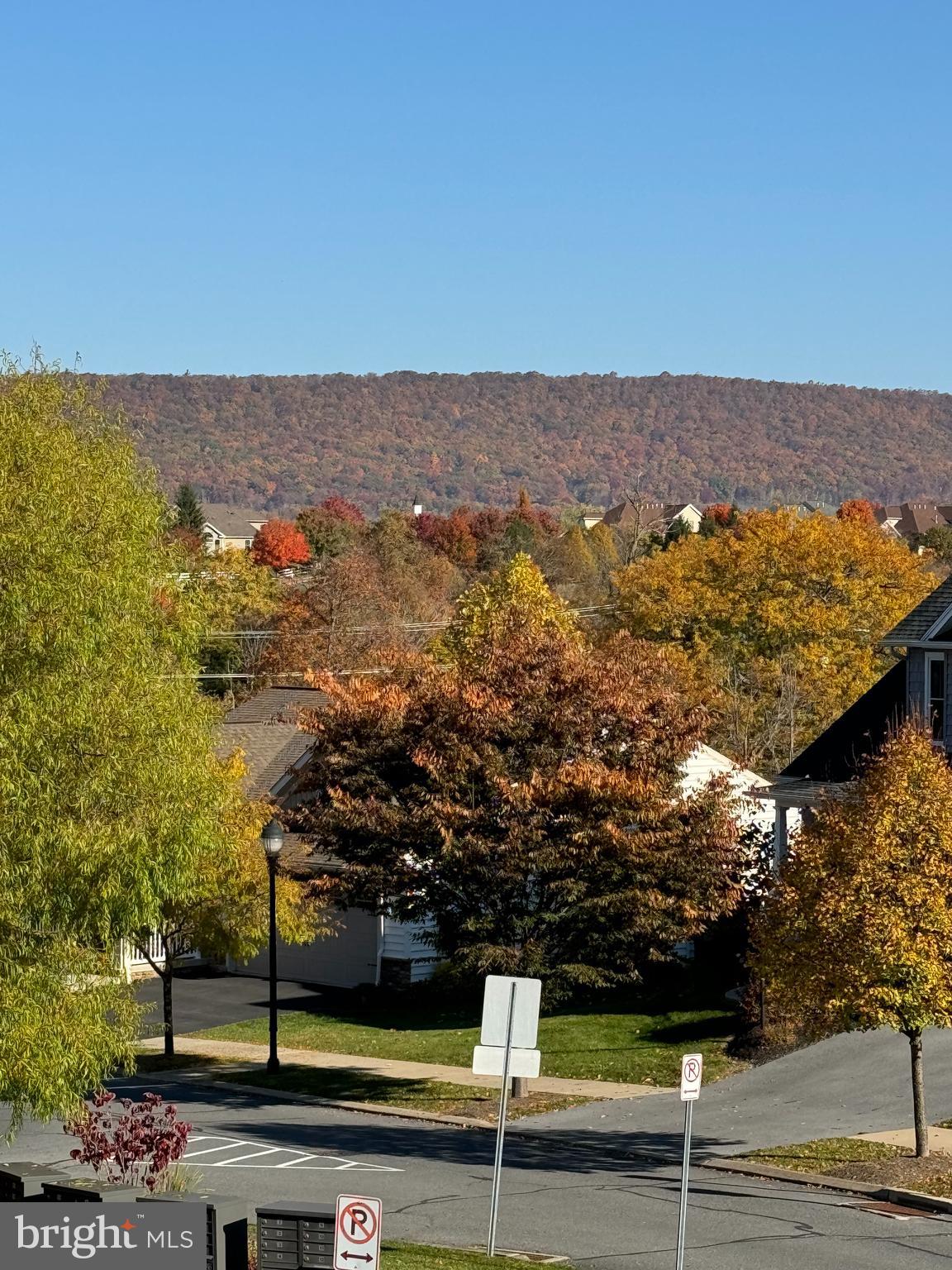 SPRINGFIELD COMMONS - Residential