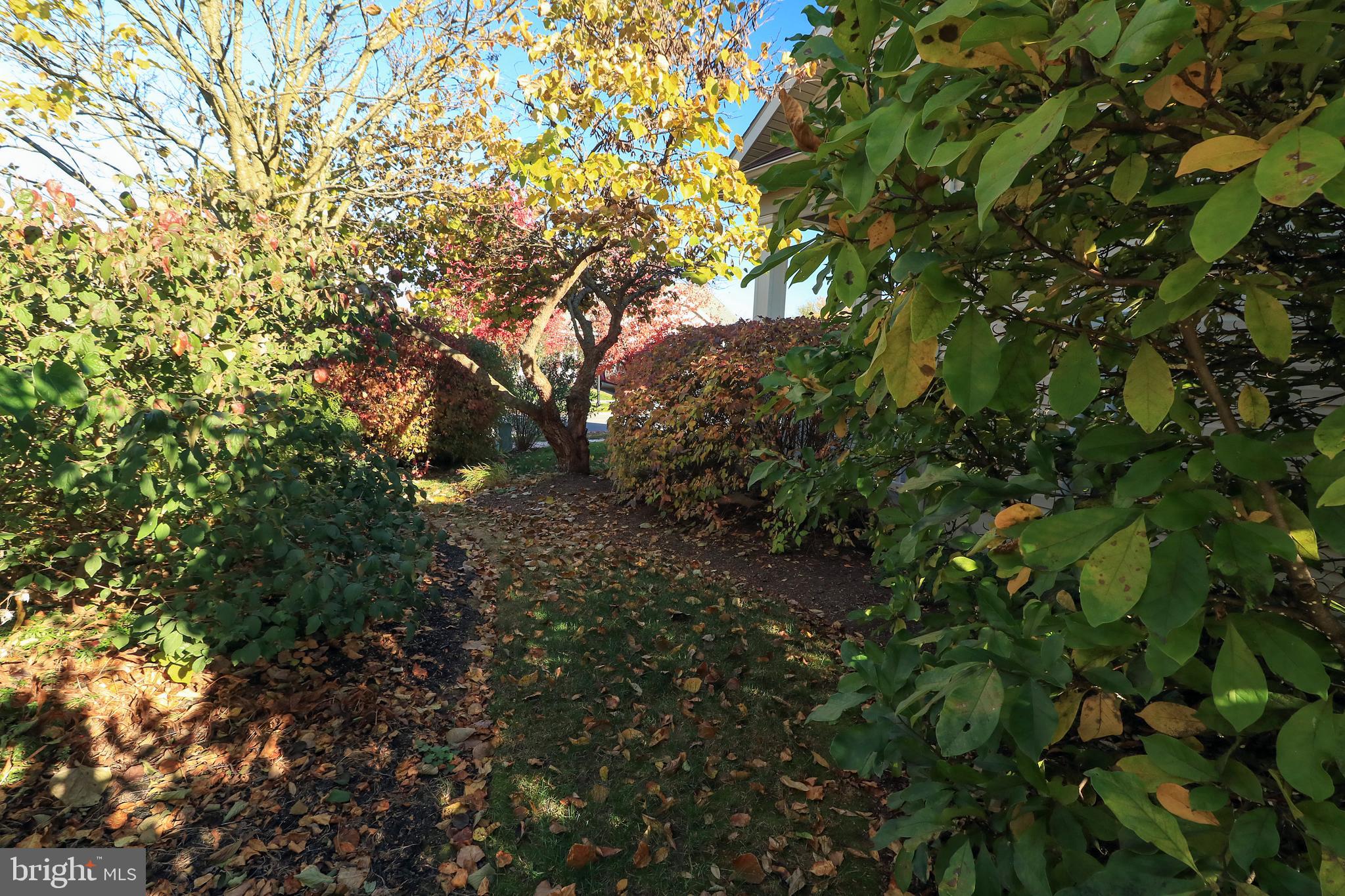 SPRINGFIELD COMMONS - Residential