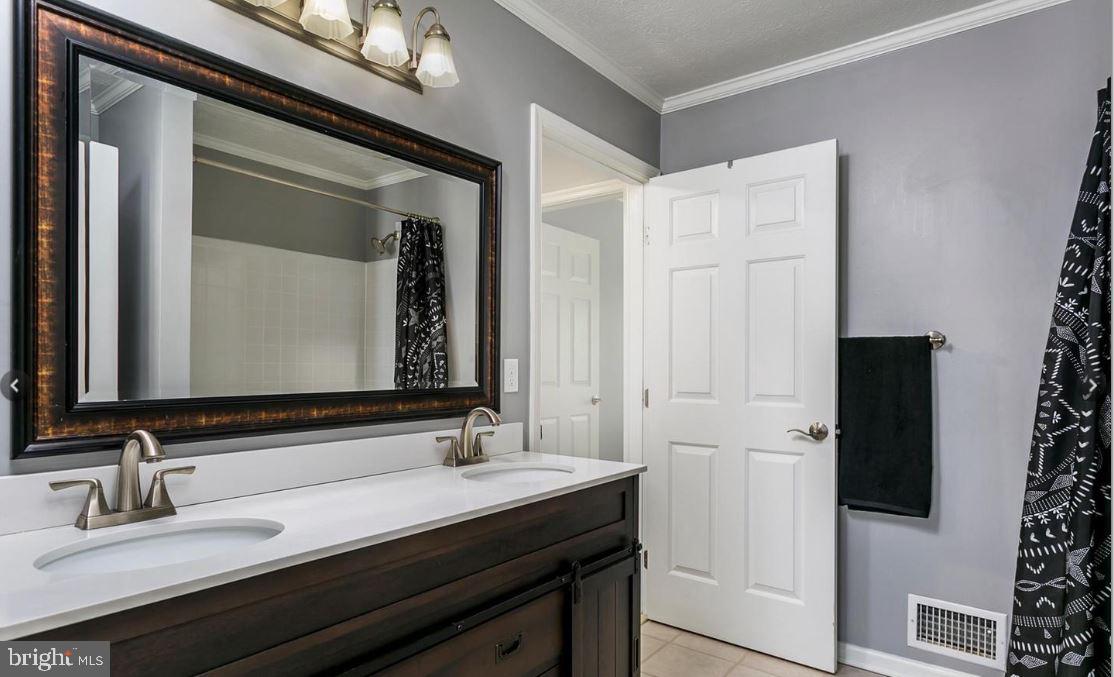 VILLAGE OF PAINTERS MILL - Residential