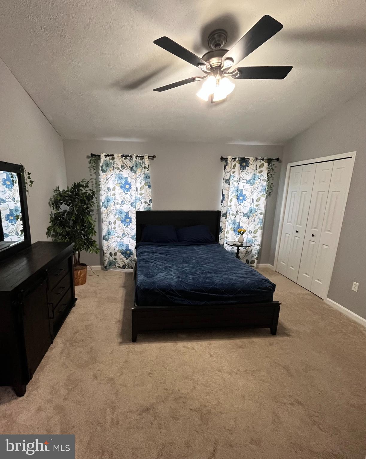 VILLAGE OF PAINTERS MILL - Residential