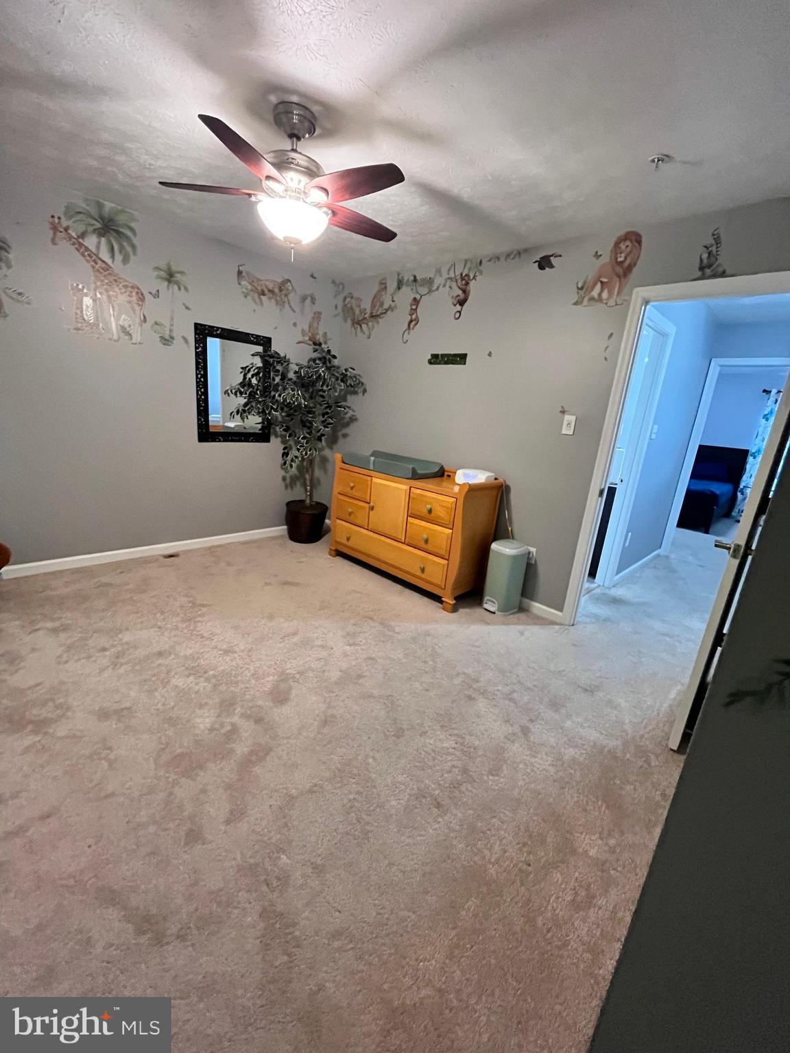 VILLAGE OF PAINTERS MILL - Residential