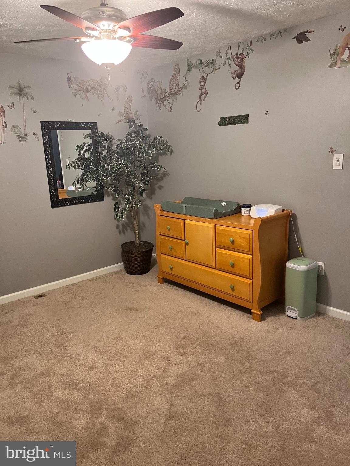 VILLAGE OF PAINTERS MILL - Residential