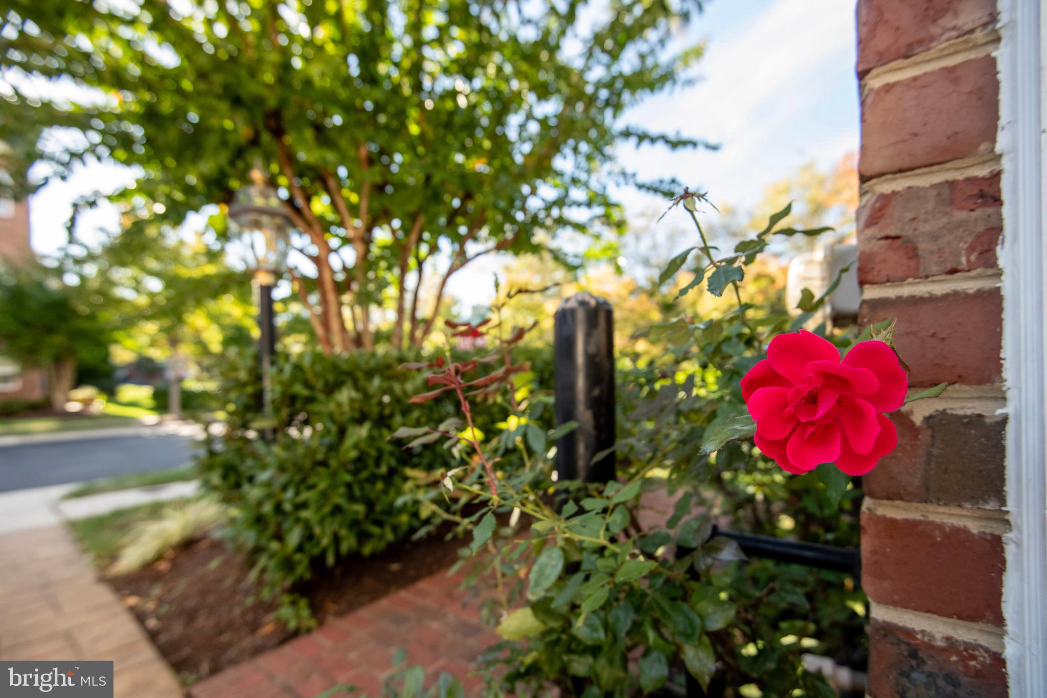VINEYARDS OF ANNAPOLIS - Residential