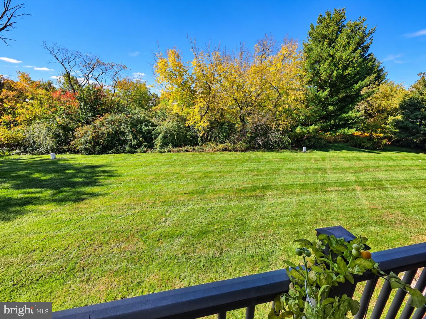 229 ALLEM LANE