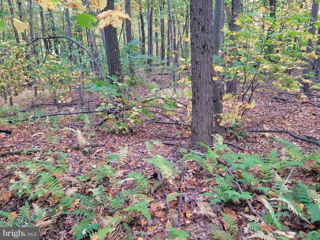 Photo of Lot 276 Ironmasters Sandlewood Way, CLAYSBURG, PA 16625 (MLS # PABR2015902)