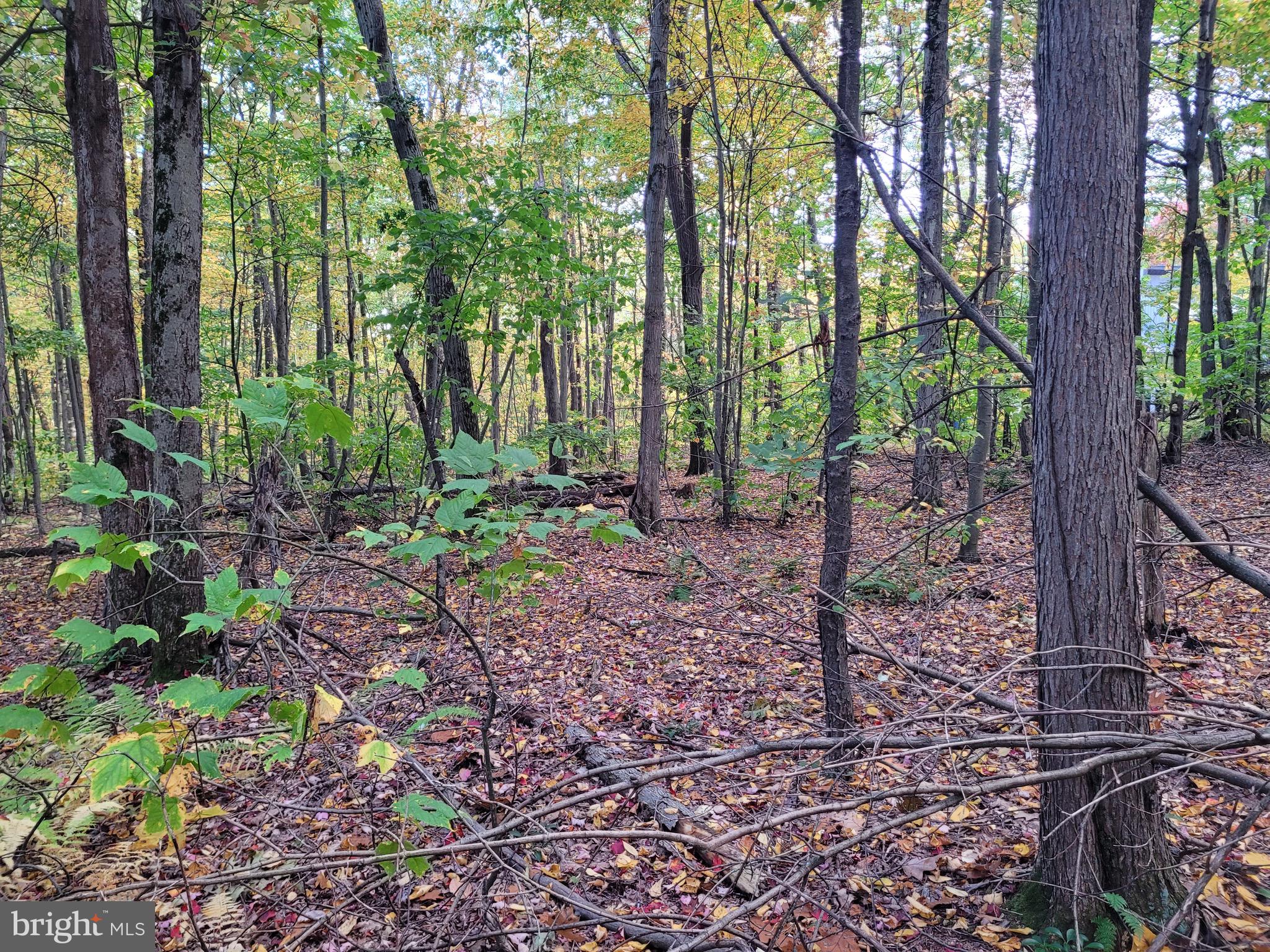 Lot 276 Ironmasters SANDLEWOOD WAY