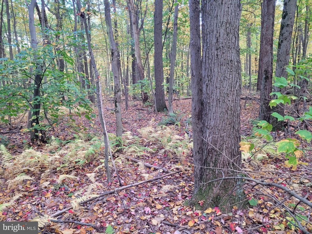 Photo of Lot 276 Ironmasters Sandlewood Way, CLAYSBURG, PA 16625 (MLS # PABR2015902)