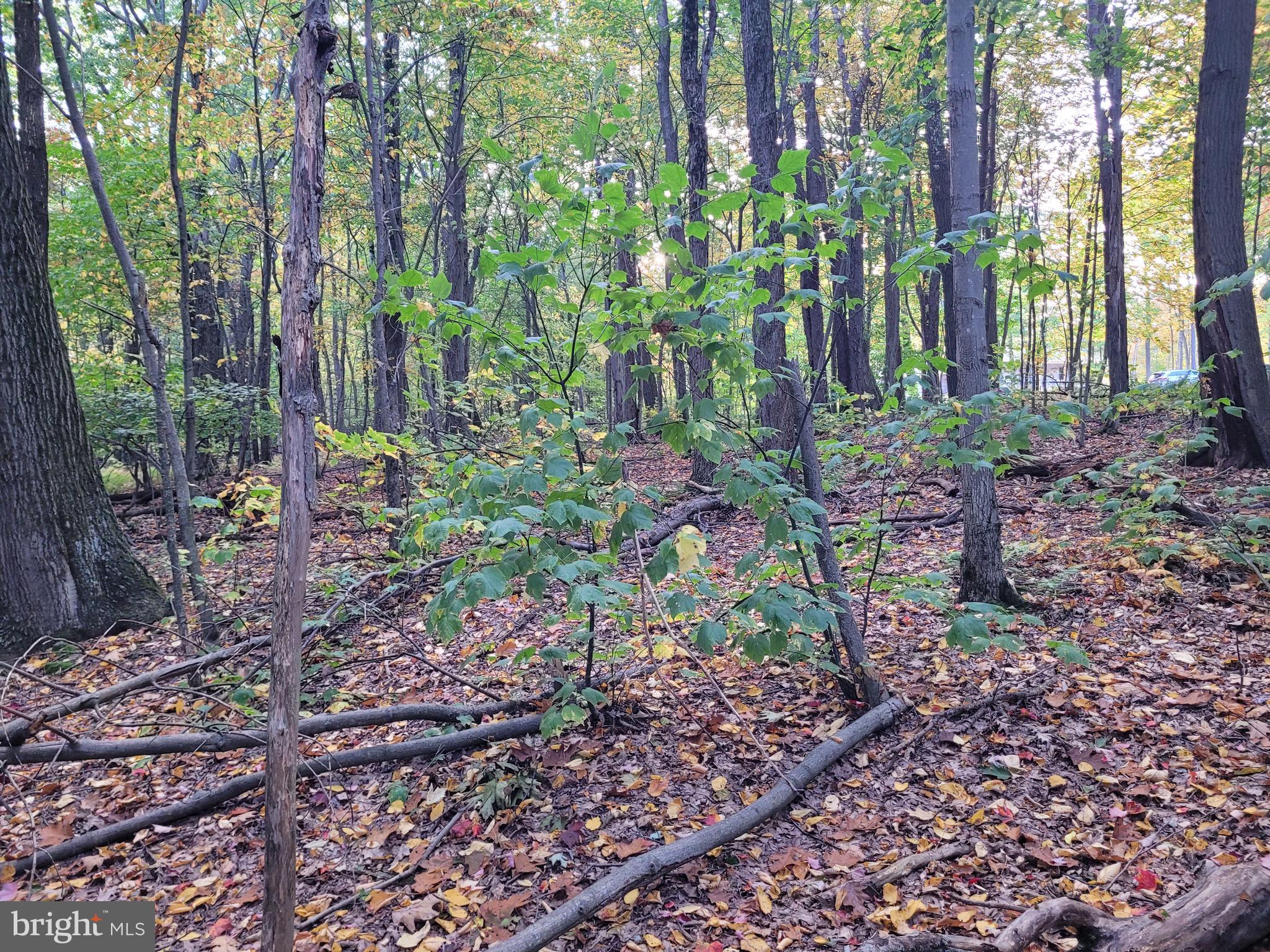 Lot 276 Ironmasters SANDLEWOOD WAY