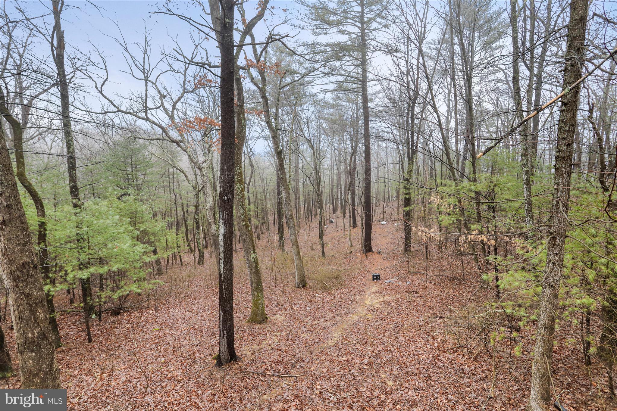 RIVER VIEW - Residential