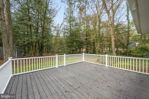 listing image 41