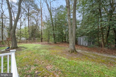 listing image 44