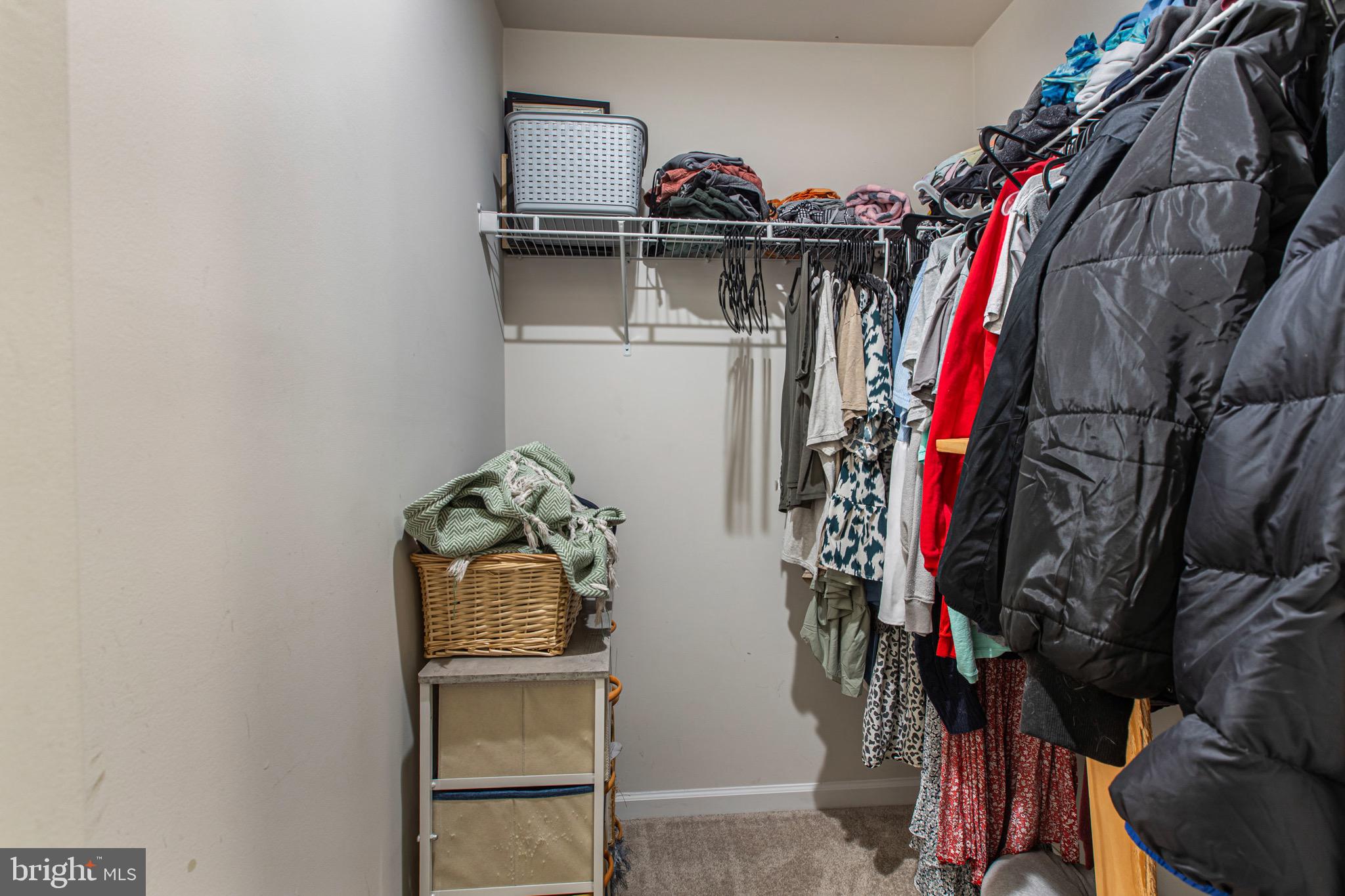 RIDGELY FOREST - Residential