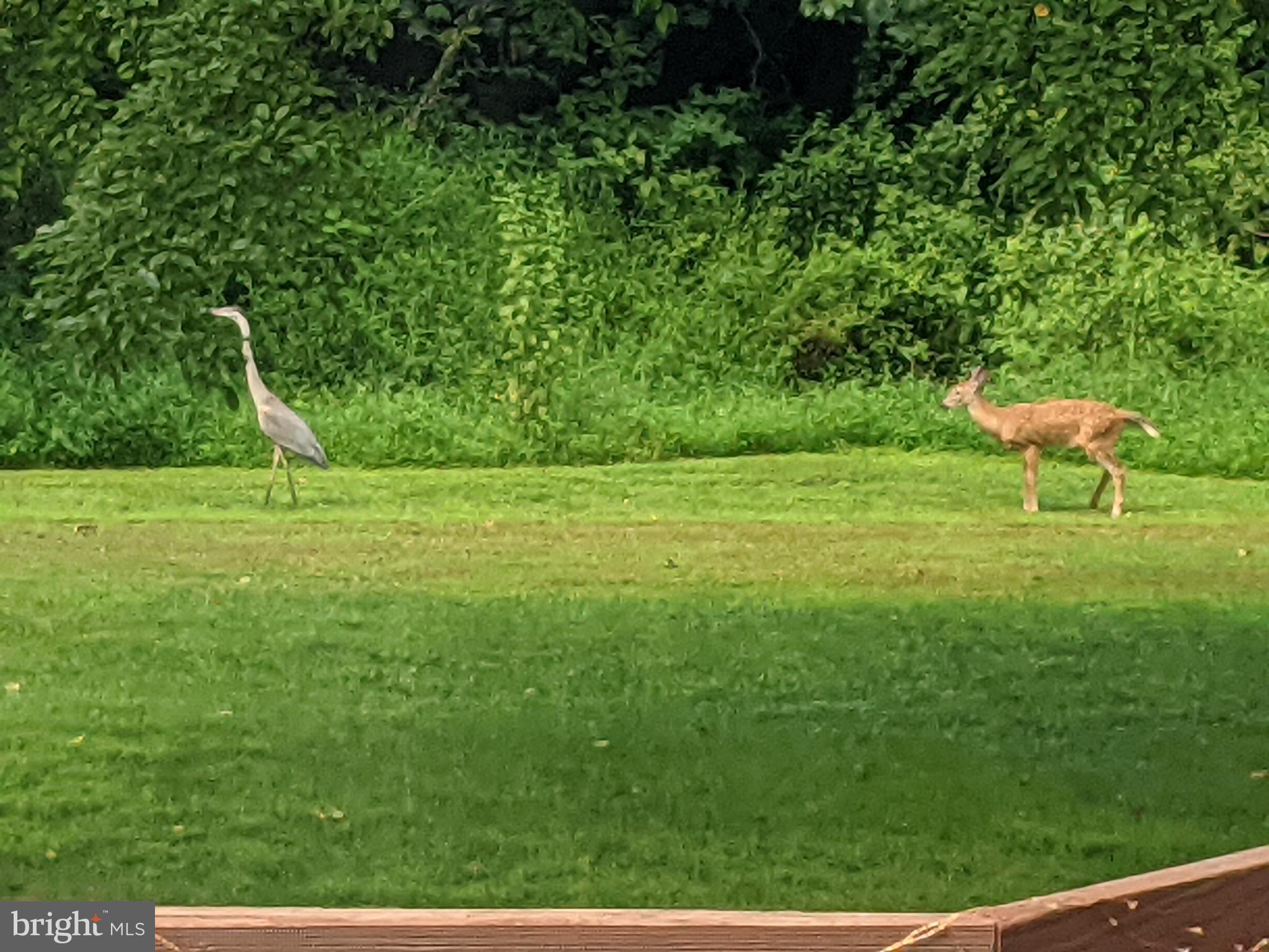 MAKEFIELD ESTATES - Residential