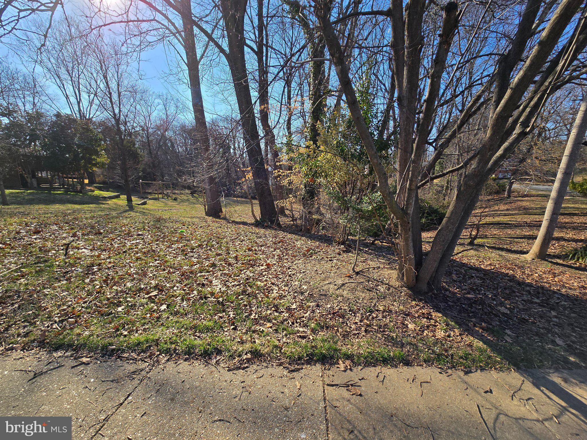 NORTH SPRINGFIELD - Land