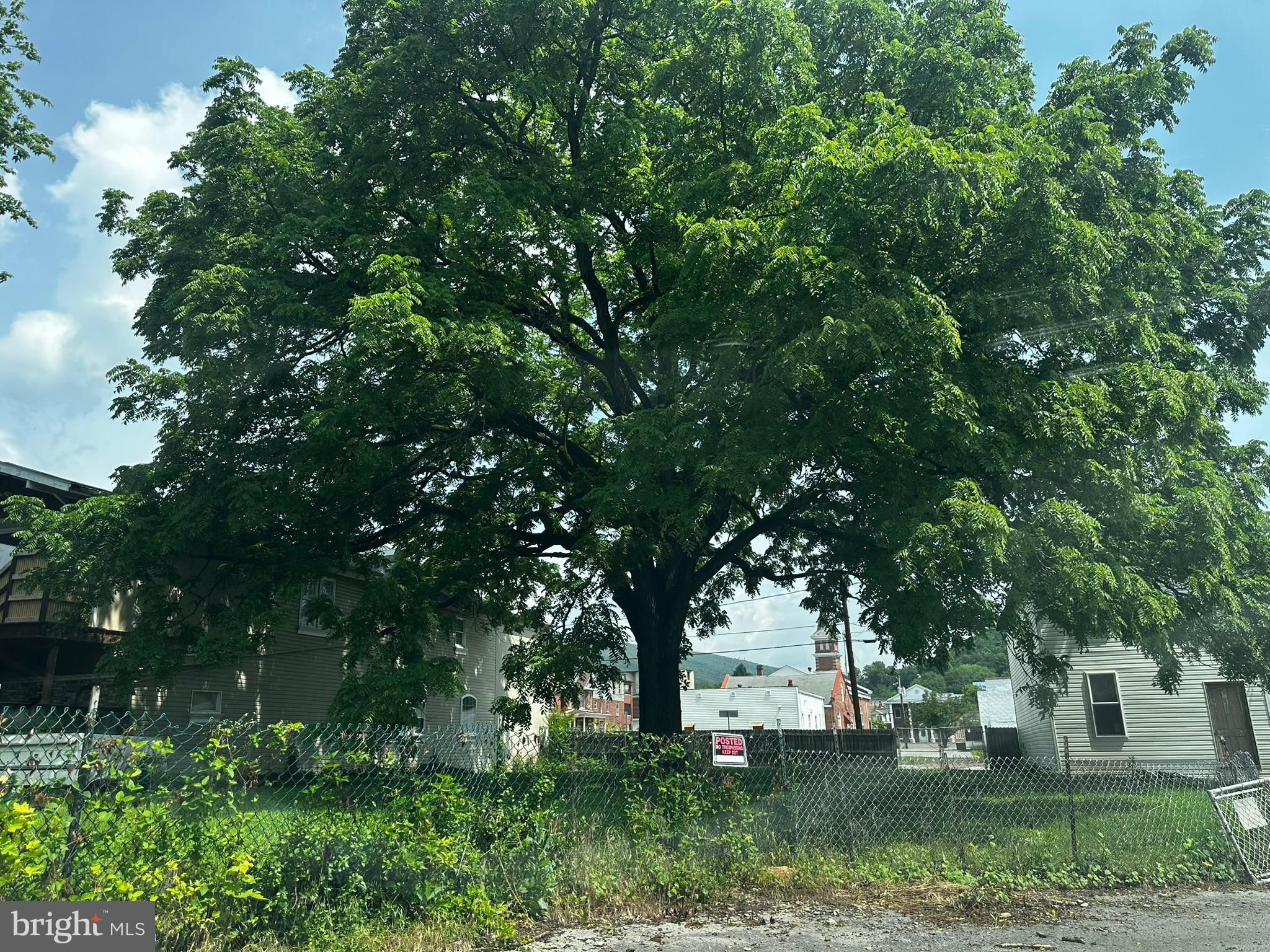 Nice level lot with huge tree and fence along street with a gate and curb cut Gateway Commercial allows most residential mixed use retail office and "Light Commercial Uses"