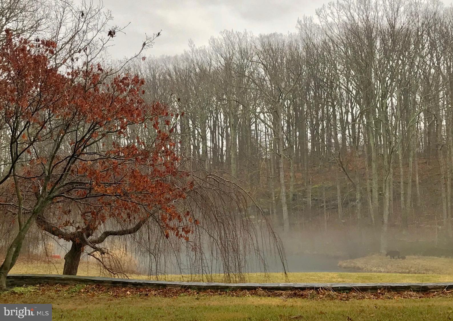 ZULLA HILLS - Residential