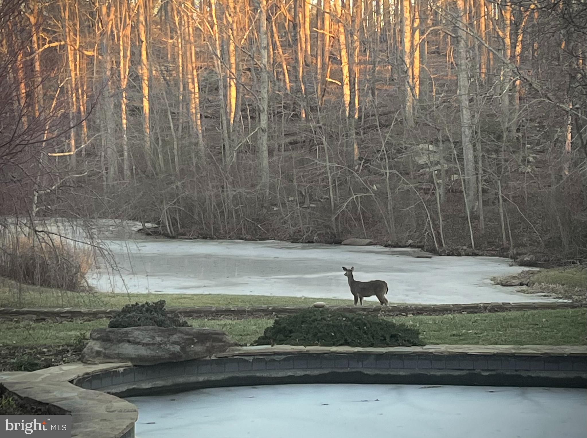 ZULLA HILLS - Residential