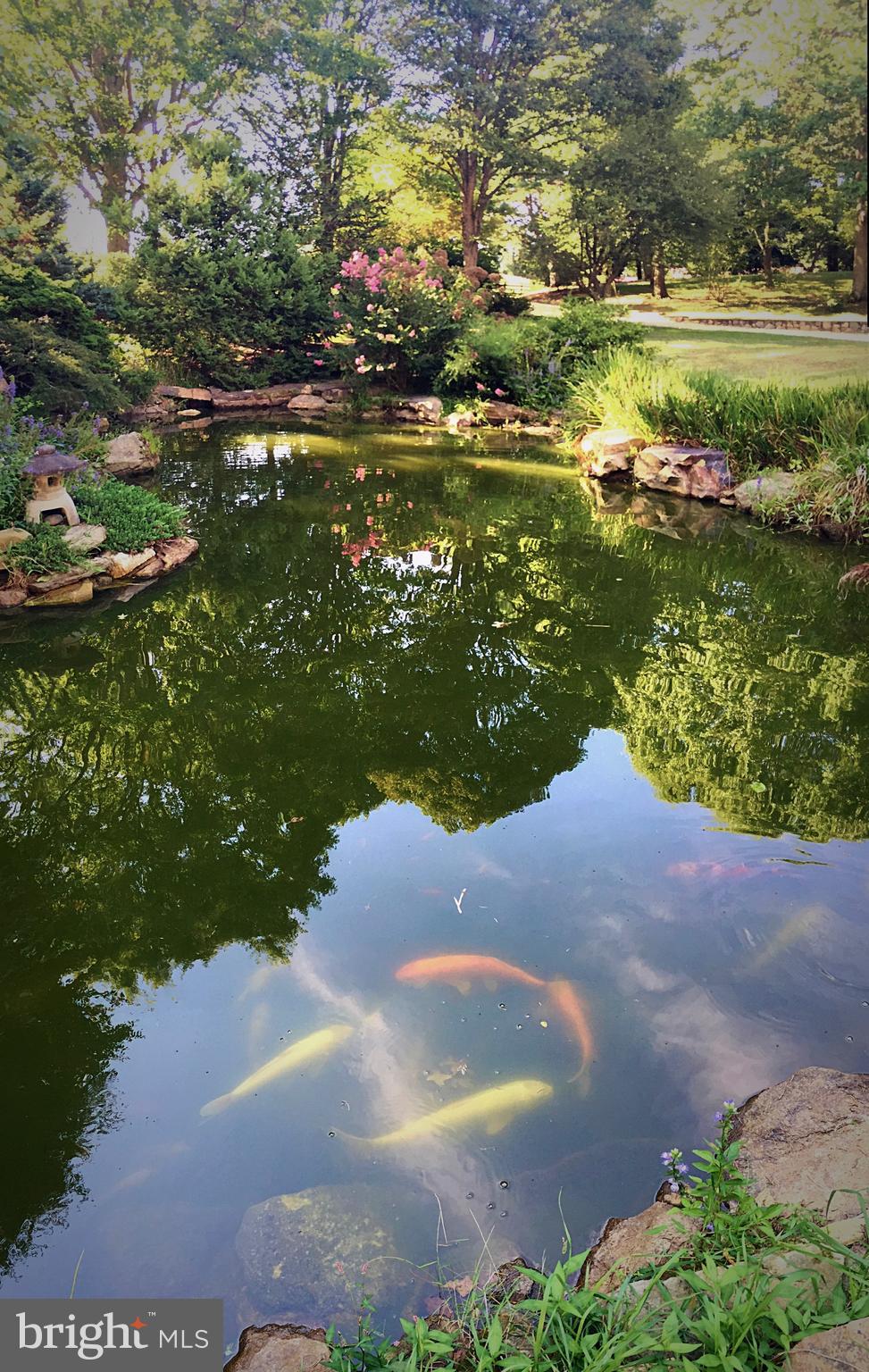 ZULLA HILLS - Residential