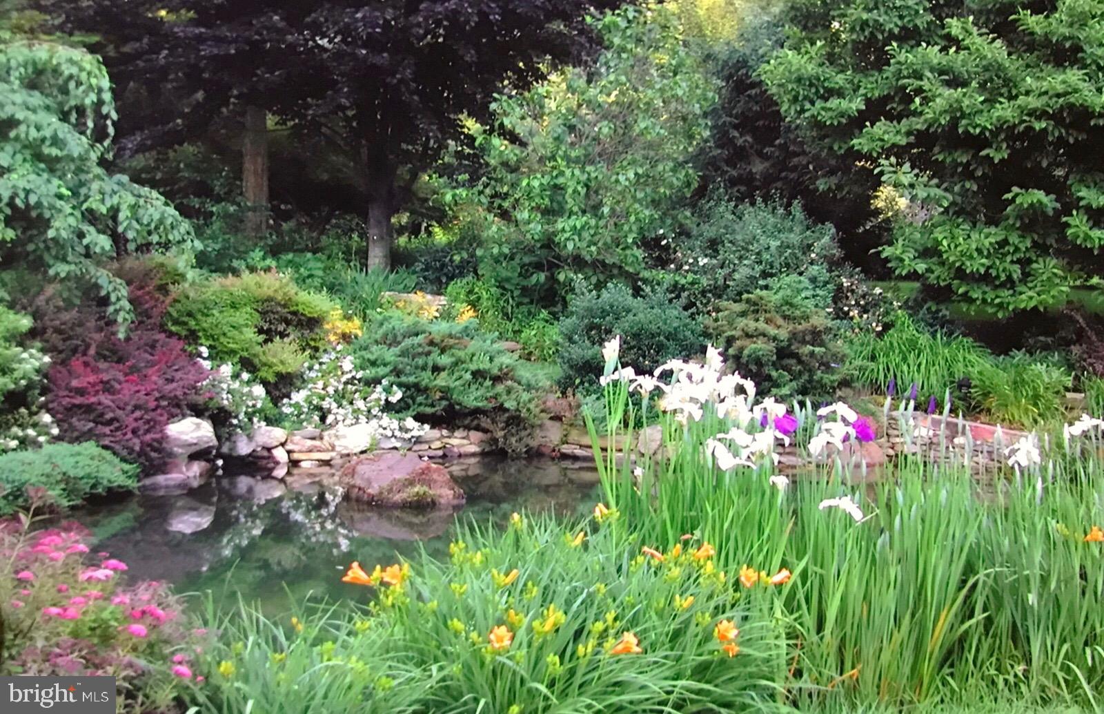 ZULLA HILLS - Residential