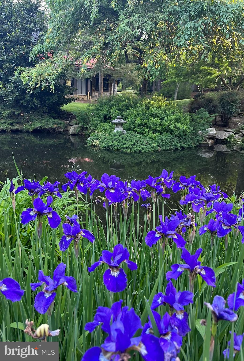 ZULLA HILLS - Residential