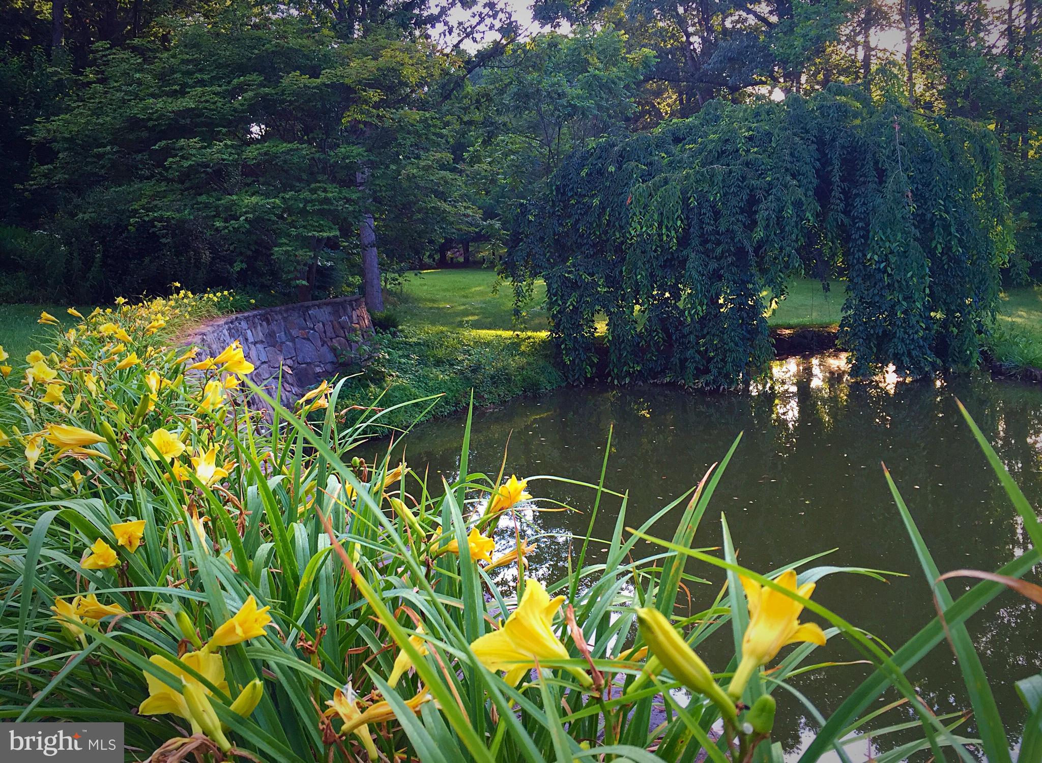 ZULLA HILLS - Residential