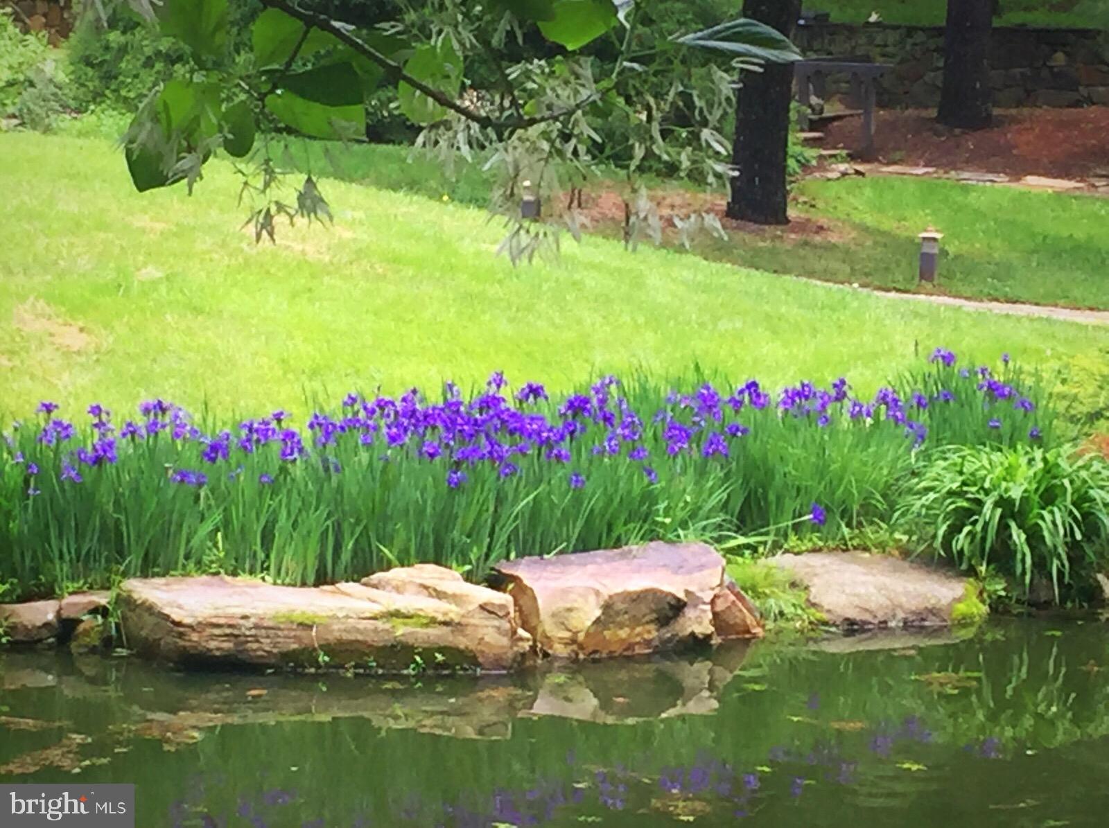 ZULLA HILLS - Residential