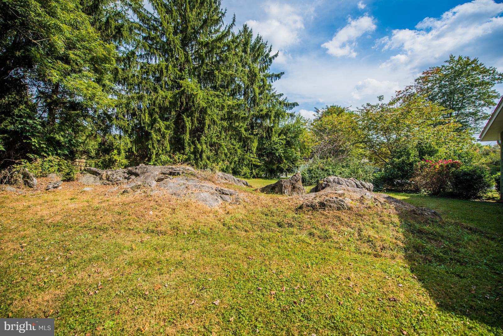 CHAPLINE'S CHOICE - Residential