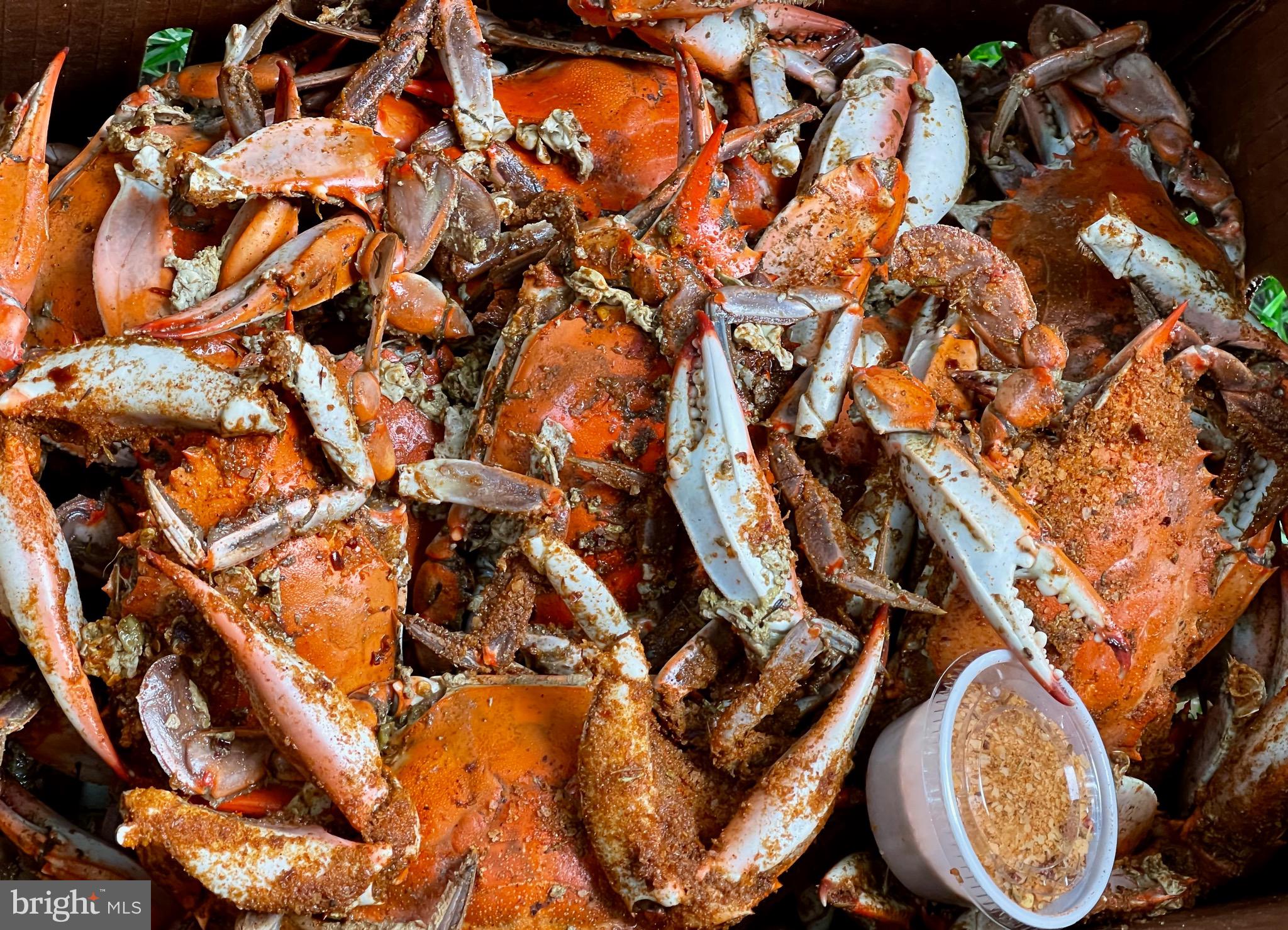 MURRAY HILL - Residential