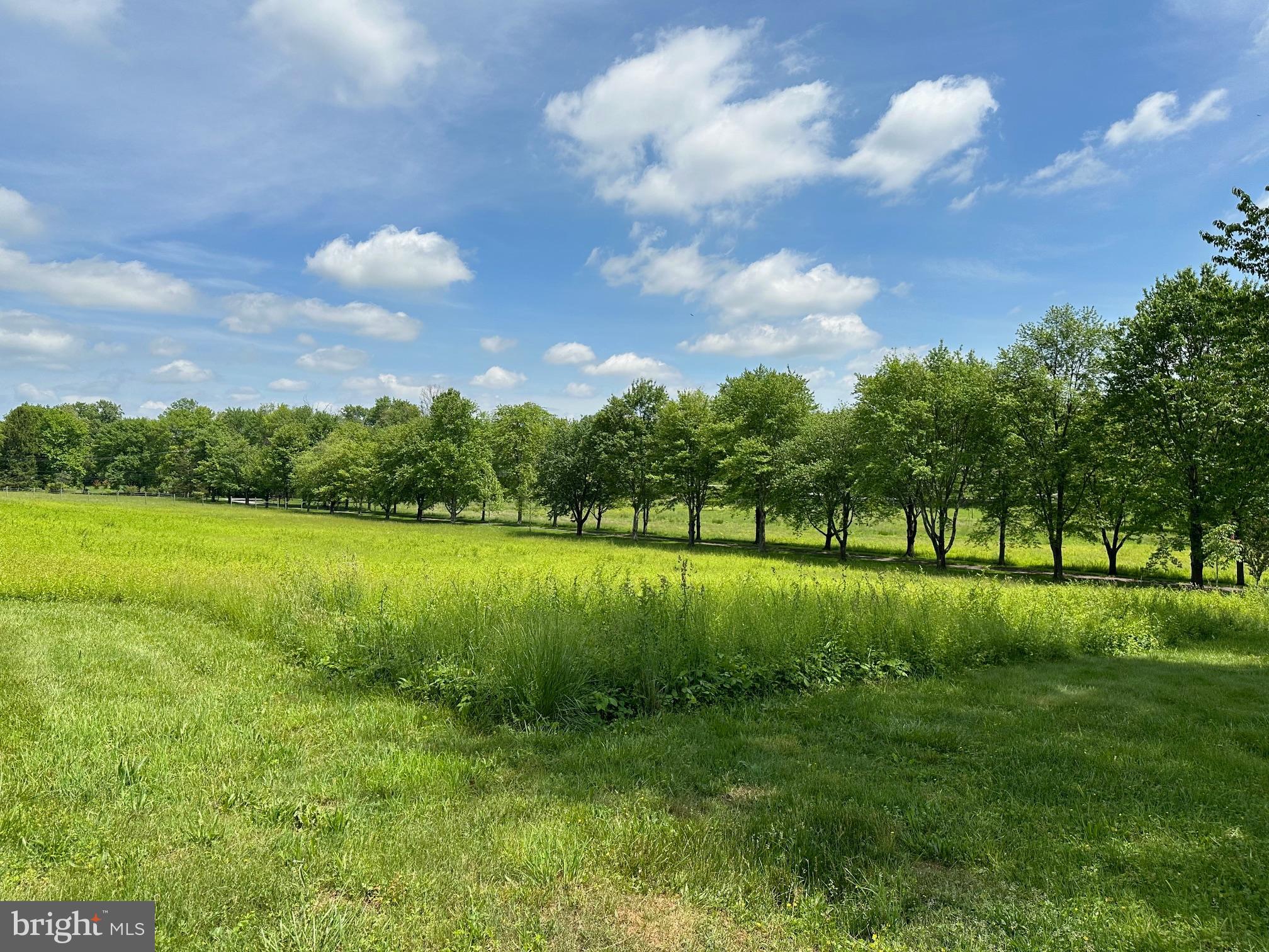 RADNOR HUNT - Residential