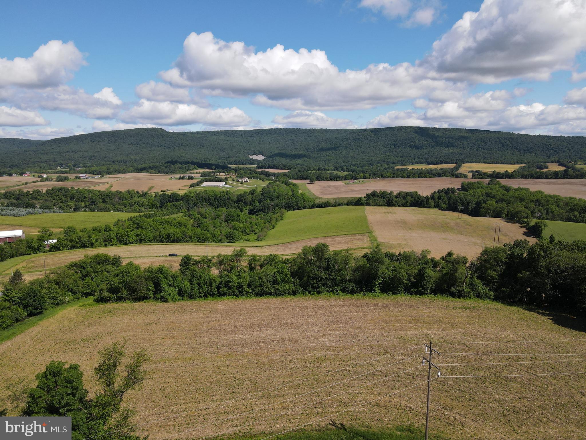 NONE AVAILABLE - Farm