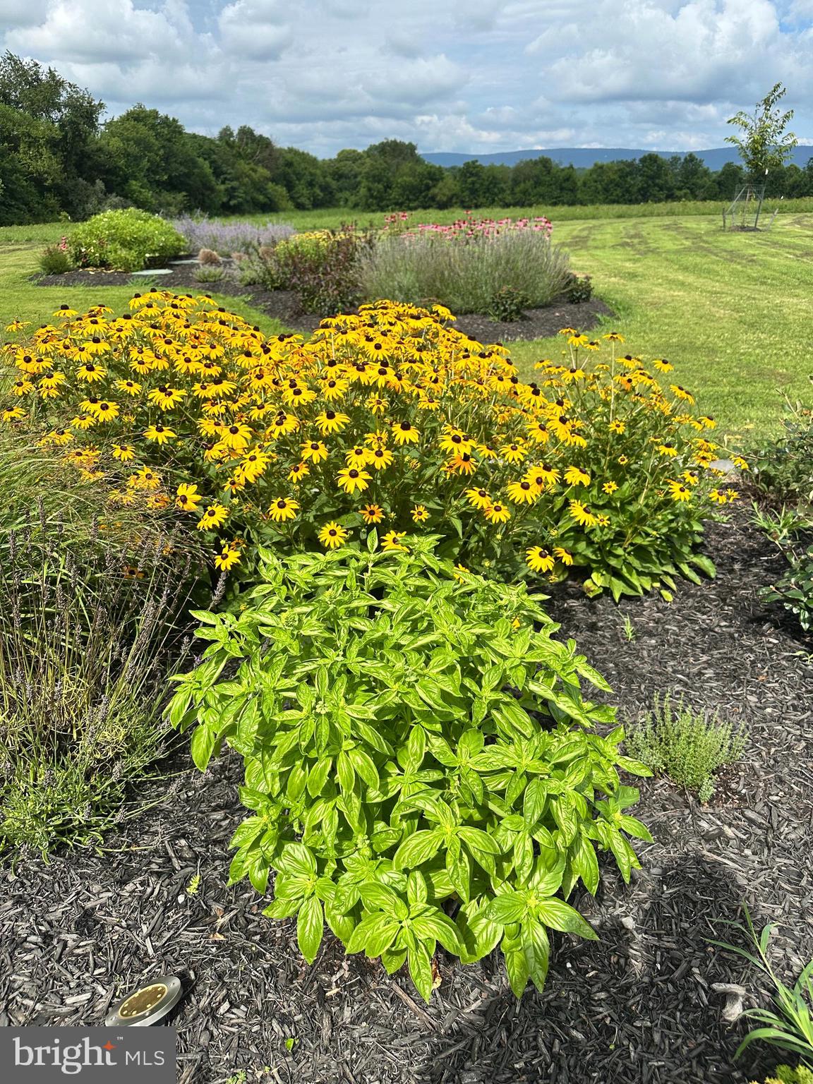JAMES FARM ESTATES - Residential