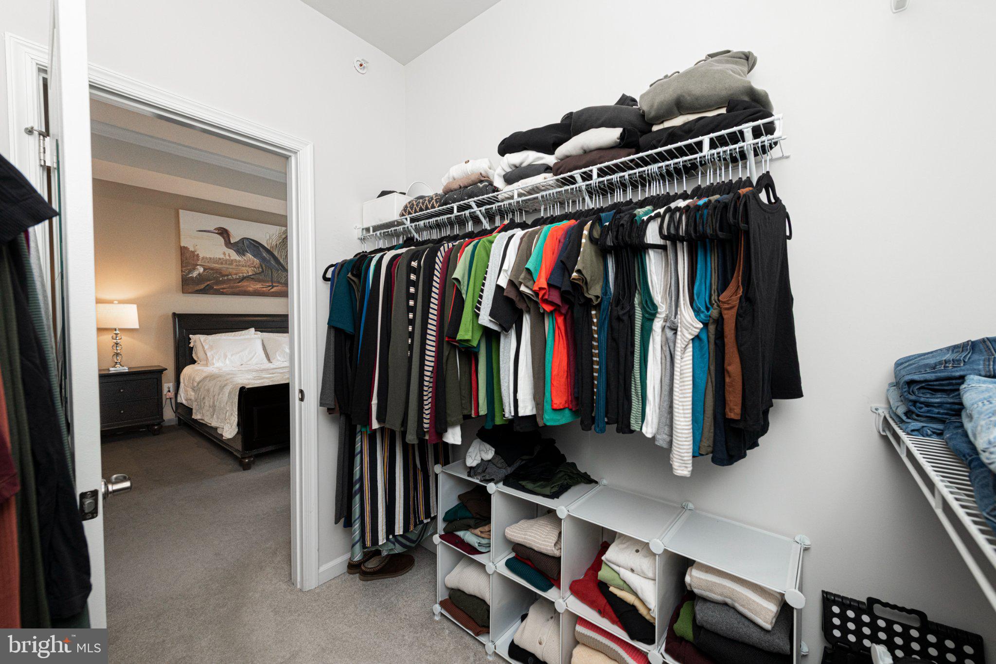 STARGAZER VILLAGE - Residential