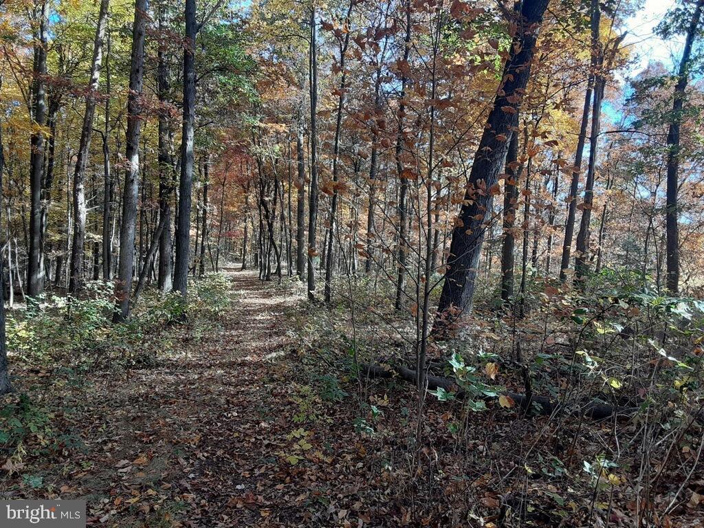 NONE AVAILABLE - Land