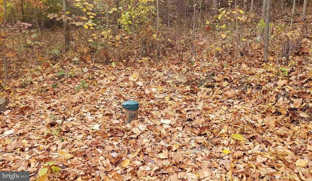 NONE AVAILABLE - Land