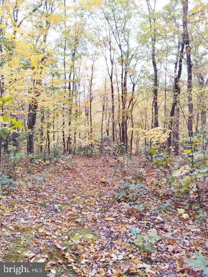 NONE AVAILABLE - Land