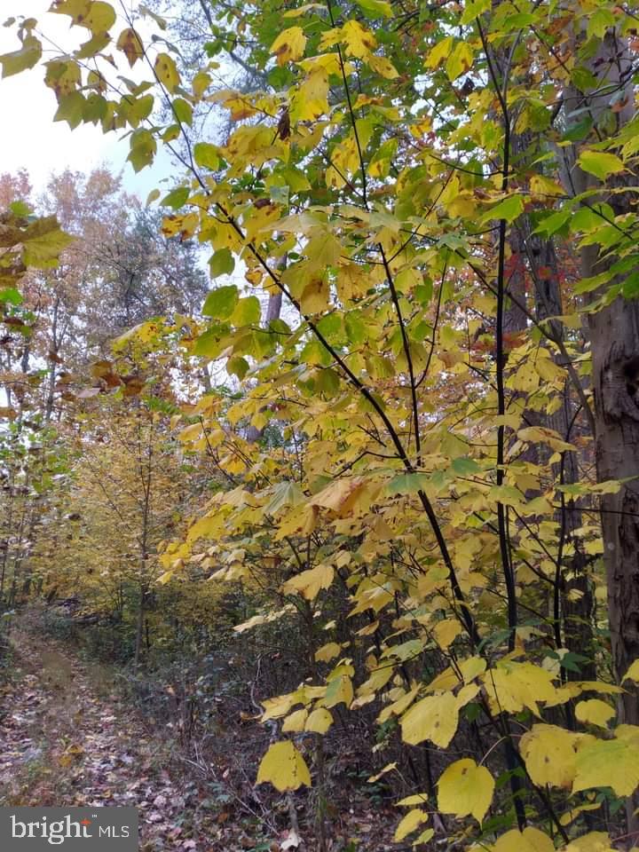 NONE AVAILABLE - Land