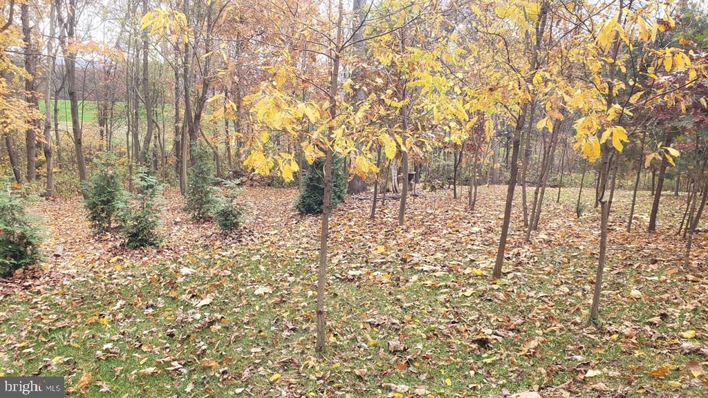 NONE AVAILABLE - Land