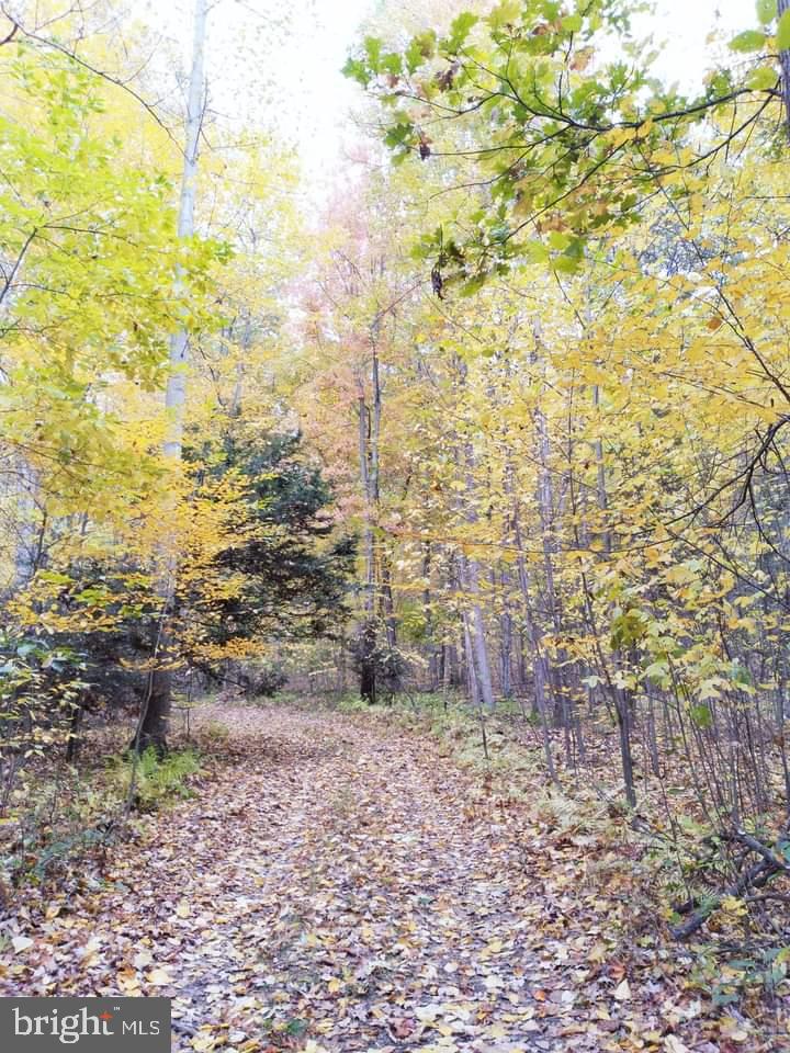 NONE AVAILABLE - Land