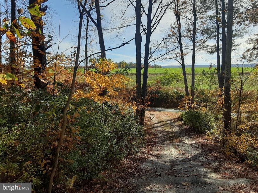 15.35 wooded acres with a view.  This well-maintained property can be used for hunting, build a cabin/house, or a beautiful getaway.  The view is spectacular on top of the ridge which overlooks the Tuscarora and Shade mountain. There are trails for walking or the 4 wheeler. The owners built a nice pavilion with a large covered space and the attached building has bunk beds. The building is heated by propane and has a small wood stove. There is a shed and a smaller out buildings as well. The property has a well but it is not hooked up.  This can be your own hidden get-a-way!!  Call today!