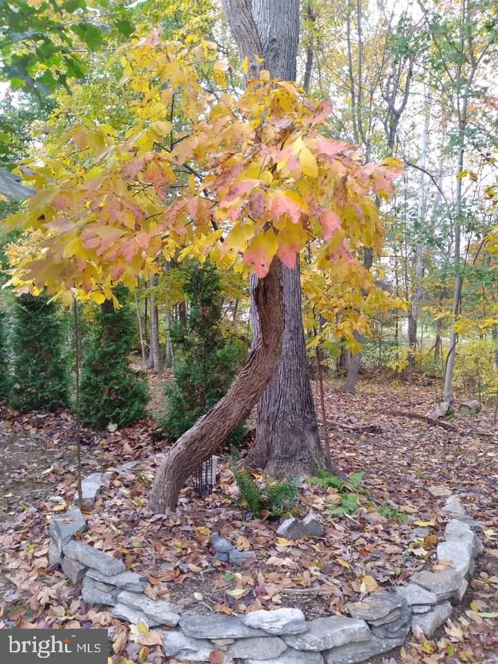 NONE AVAILABLE - Land