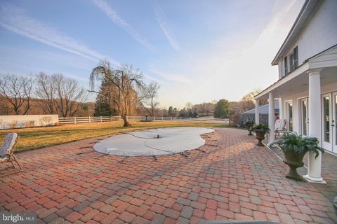 listing image 65