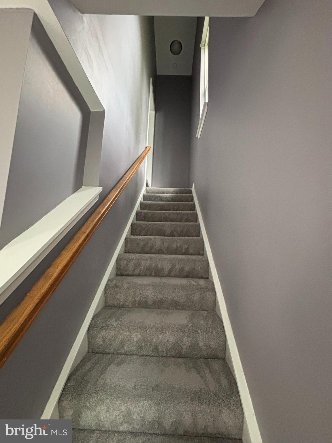 BRAEMAR - Residential Lease