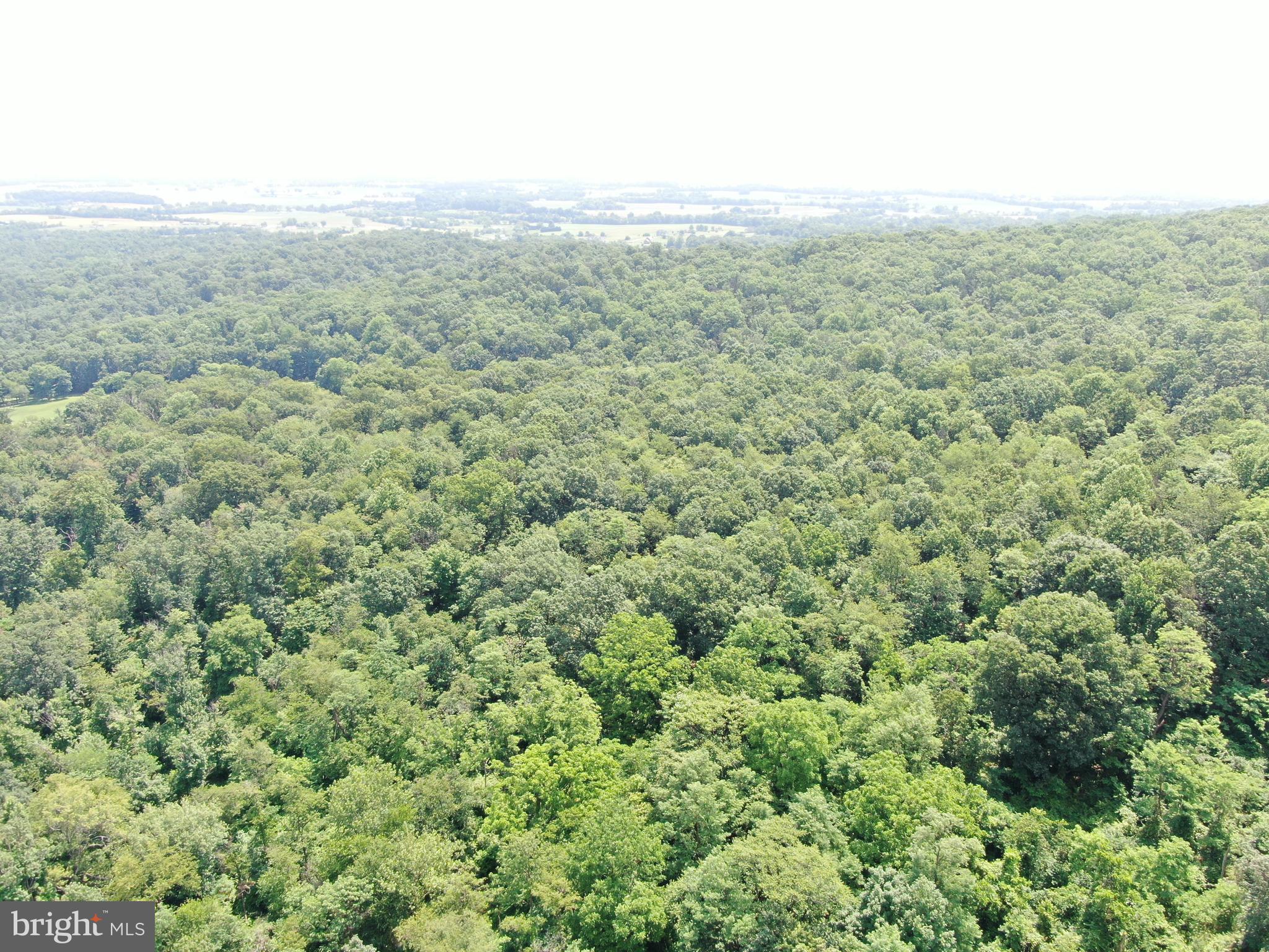 42.68+/- ACRES HUNTER ROAD