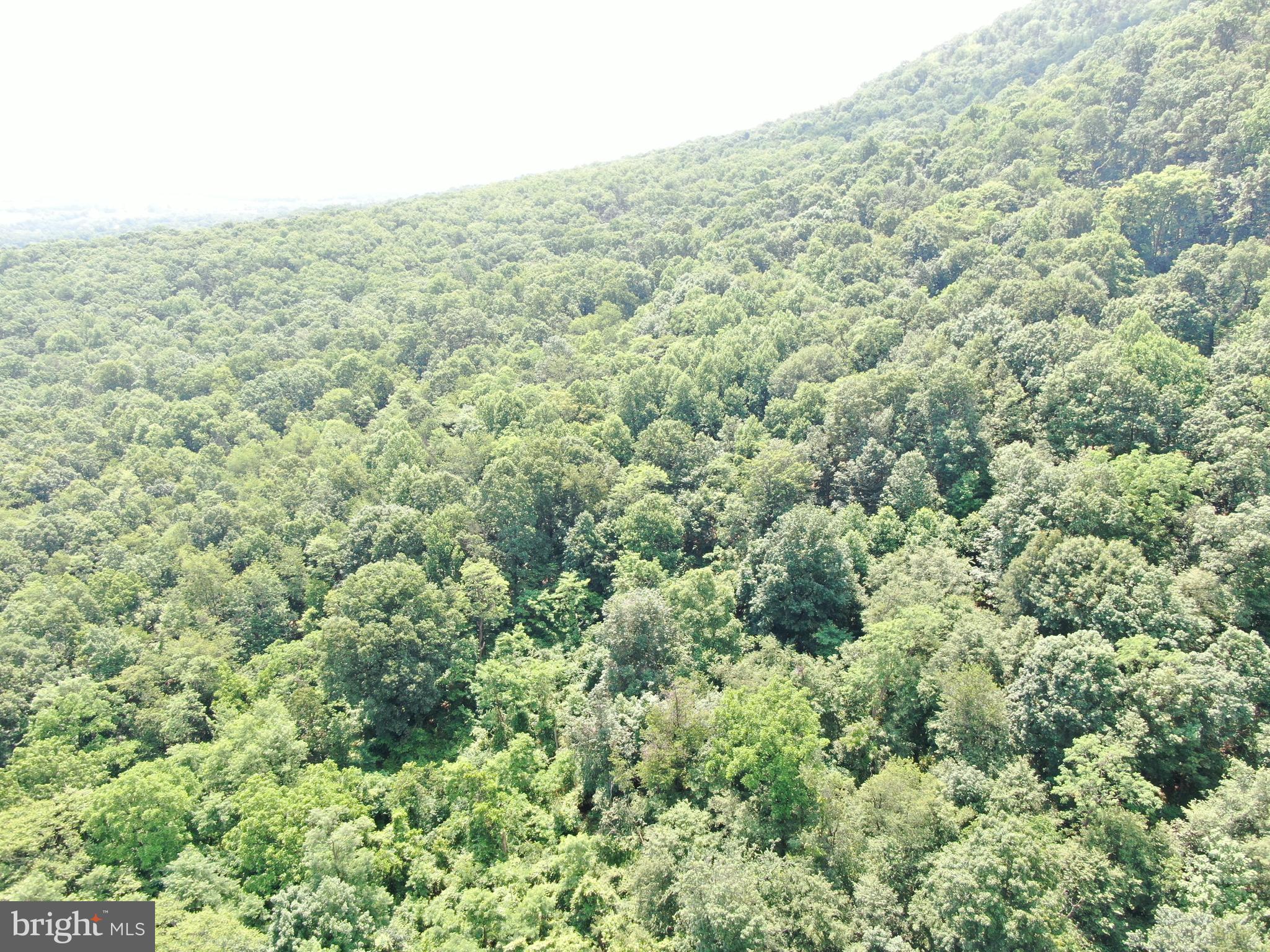42.68+/- ACRES HUNTER ROAD