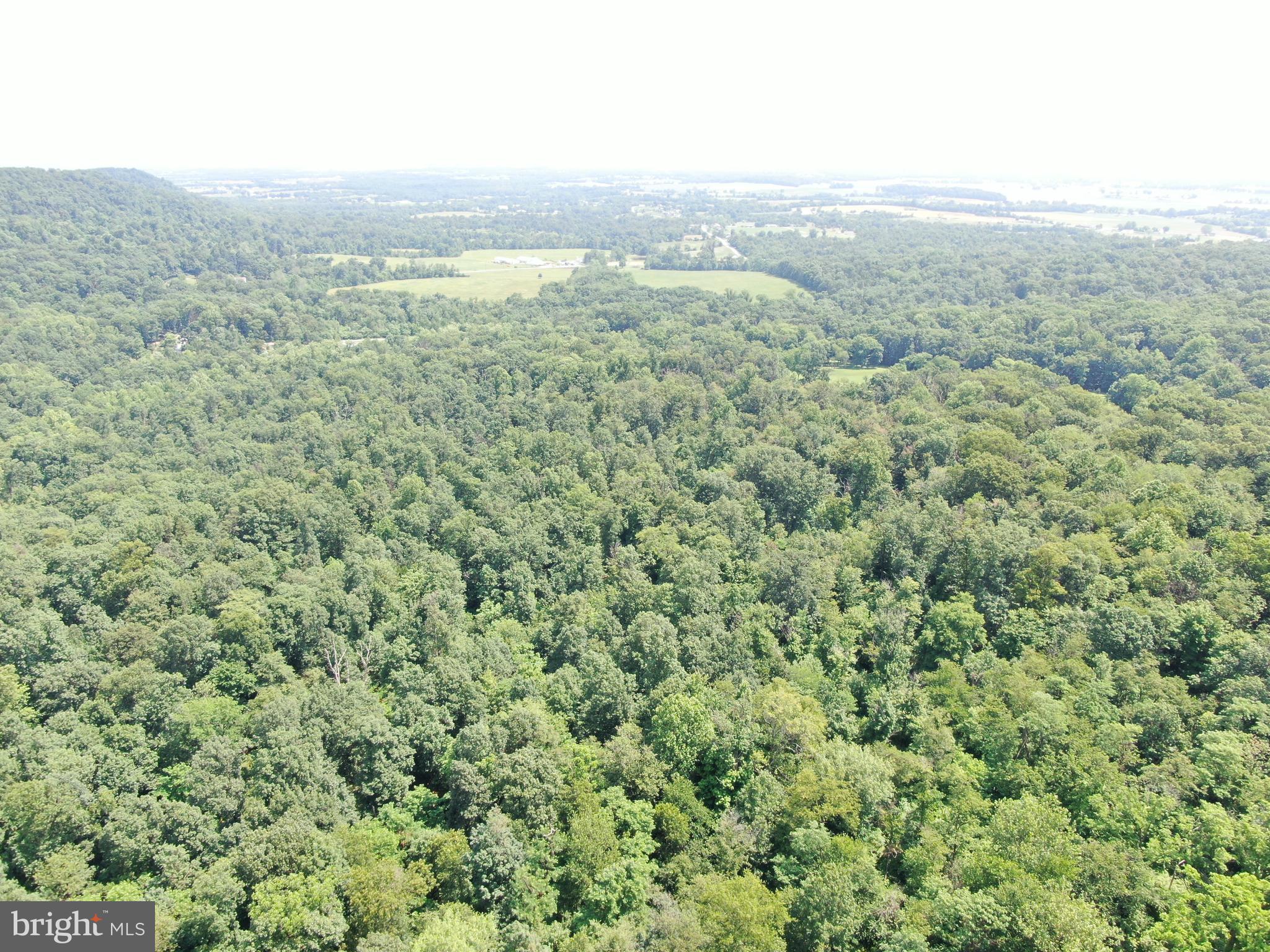 42.68+/- ACRES HUNTER ROAD