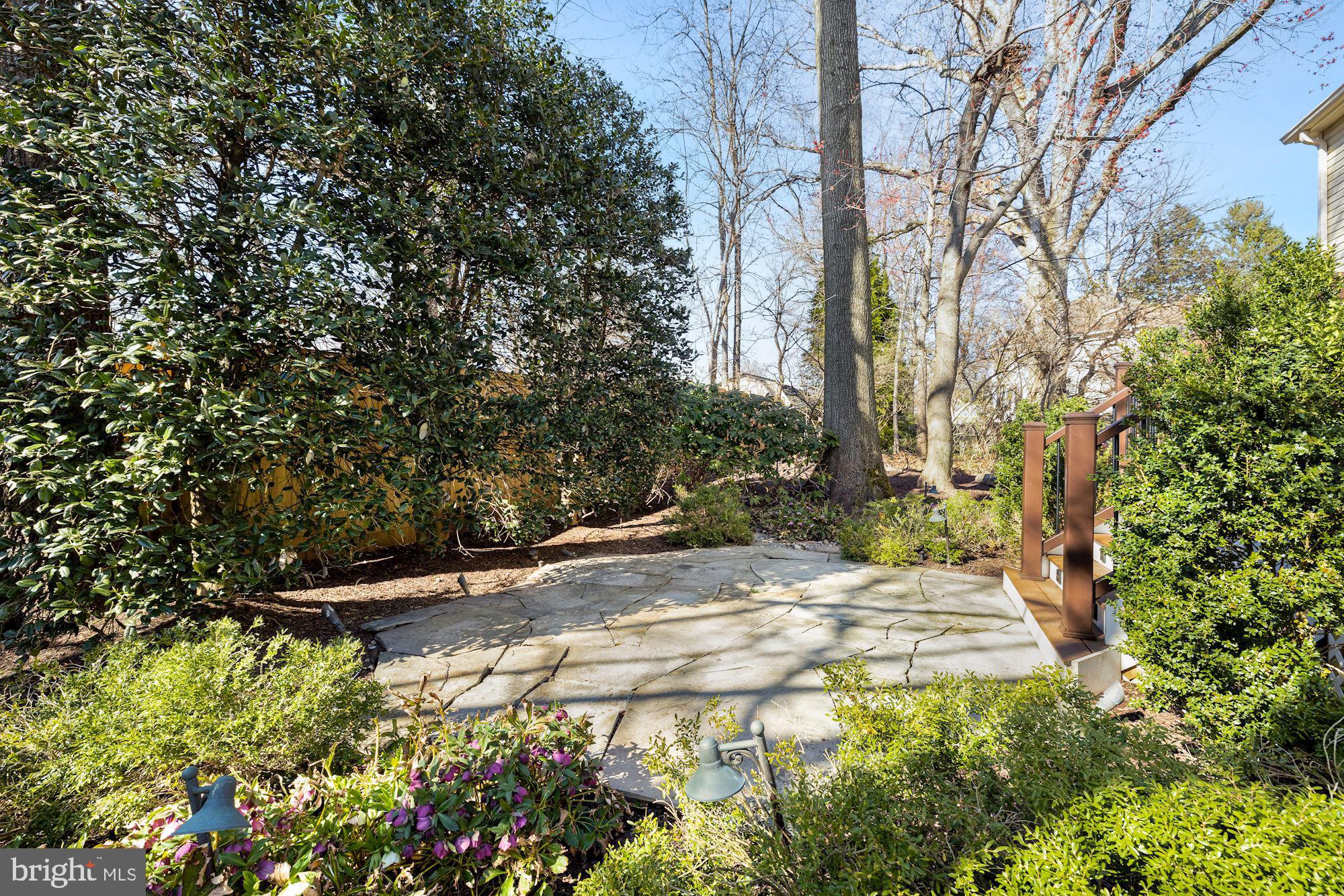 WILLIAMS HILL - Residential