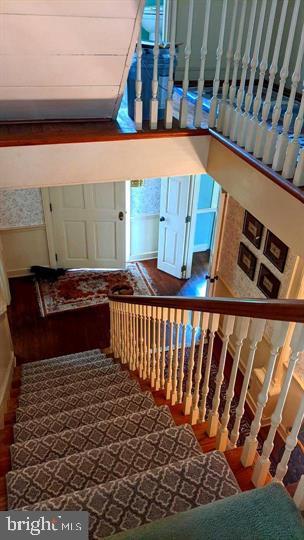 NONE AVAILABLE - Farm