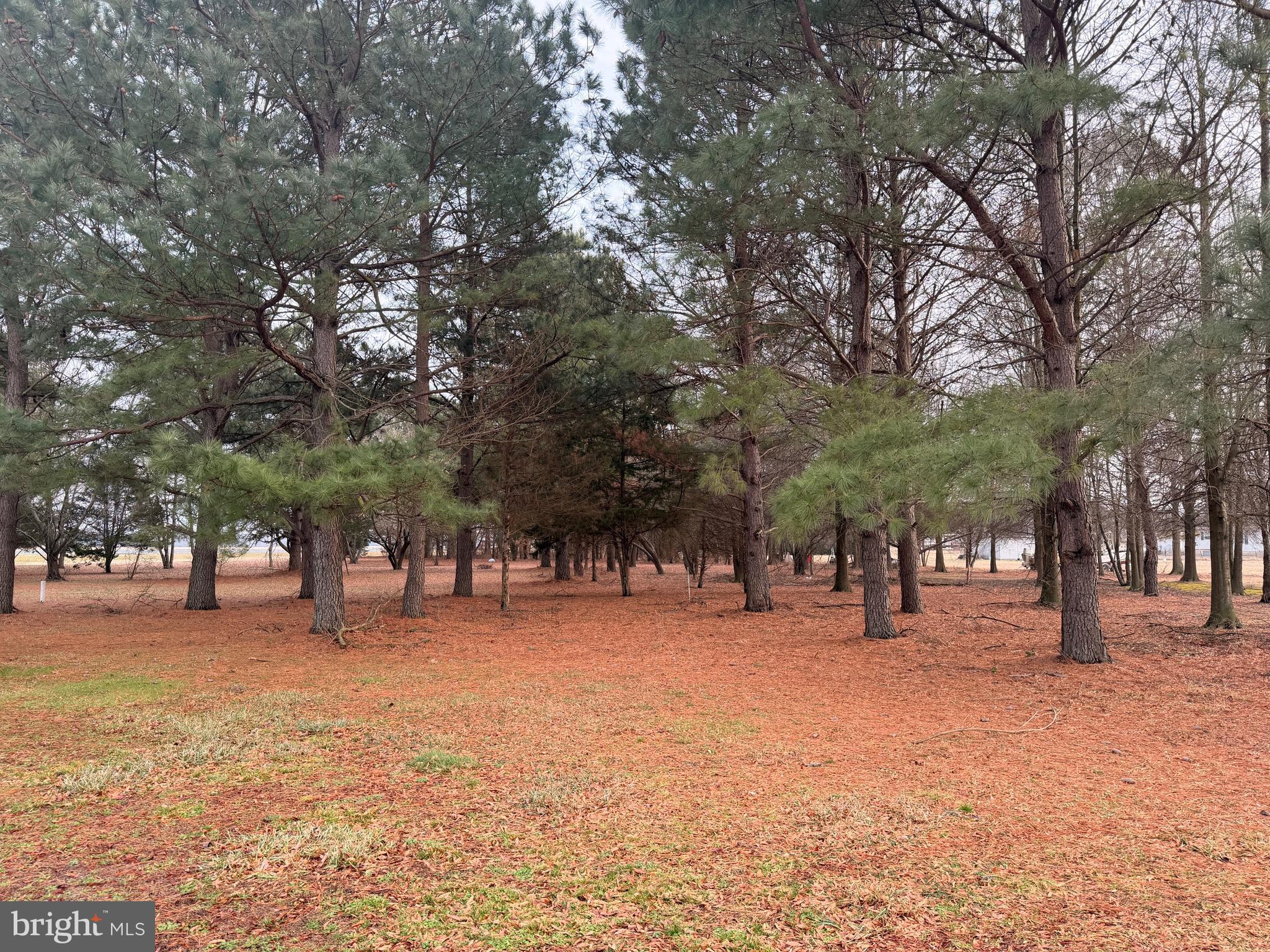 CABIN CREEK RIDGE - Residential