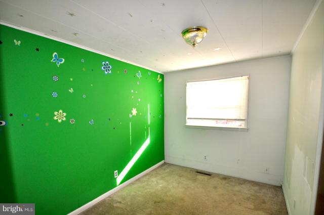 CHESAPEAKE RANCH ESTATES - Residential